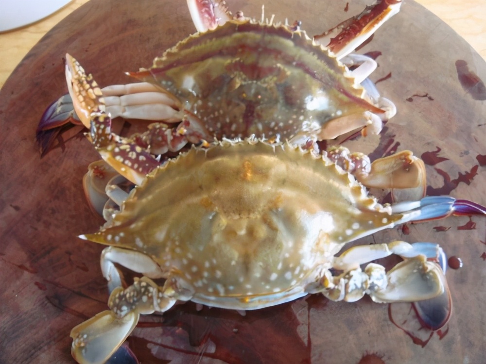 蒸螃蟹需要多长时间蒸螃蟹需要多长时间大火小火