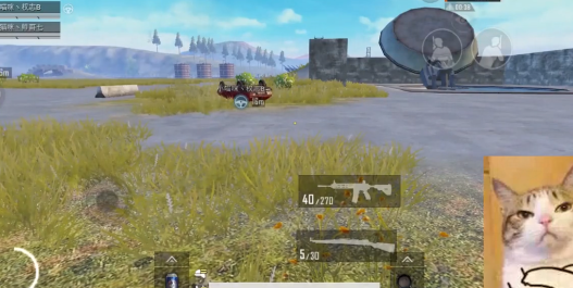 和平精英中真正的隐身技巧，一个敌人看不见，一个自己看不见