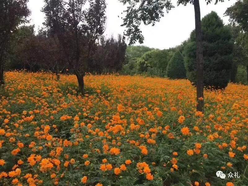 假期亲子礼品之旅游套票—北京国际鲜花港+大美儿童世界