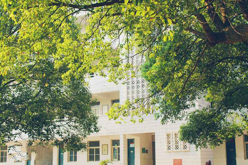 长沙一中2017高考喜报（湖南岳阳闻名遐迩四所好高中）