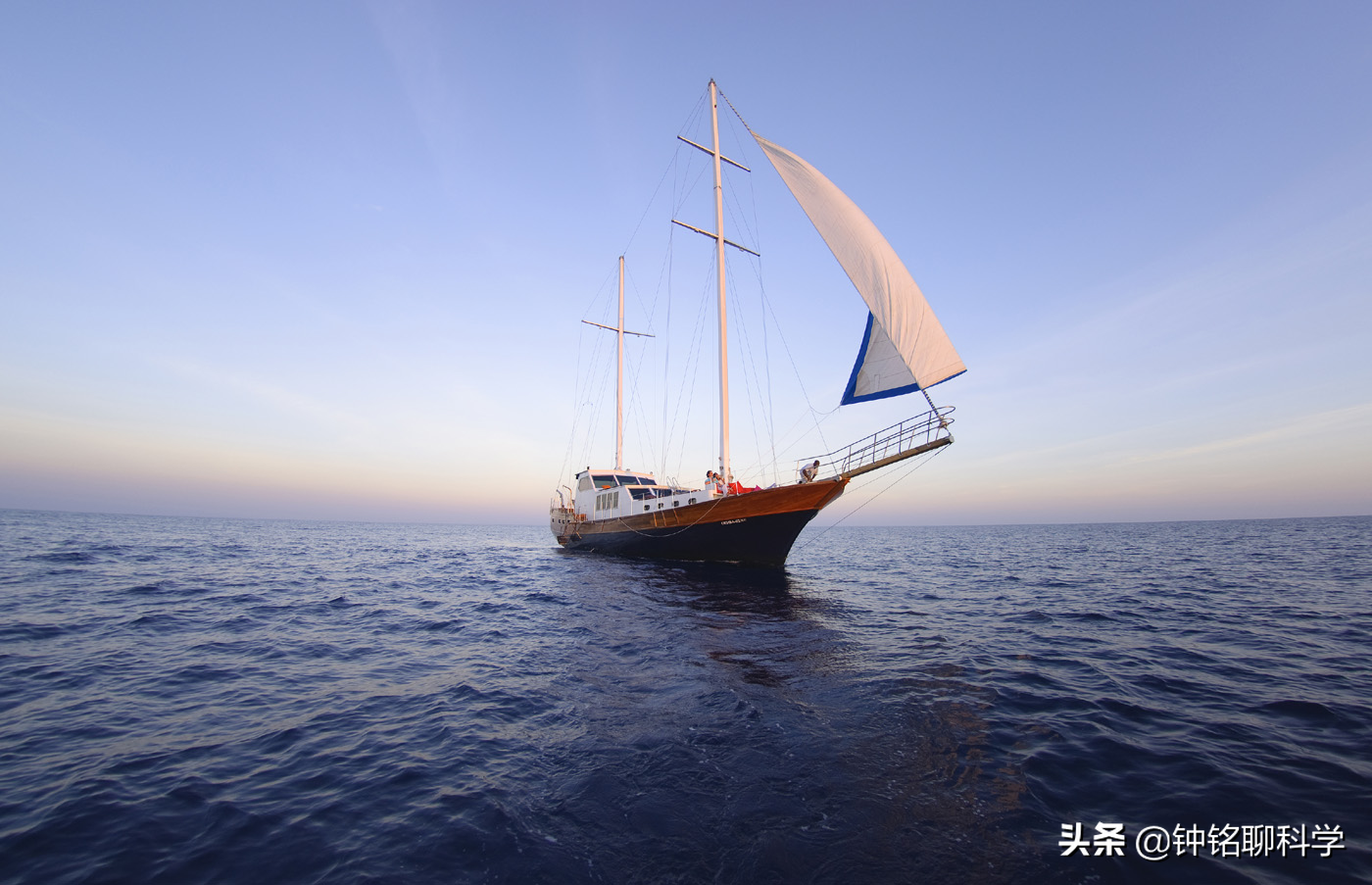 “蛇中熊猫”莽山烙铁头有多珍稀？为啥总被外国人惦记？