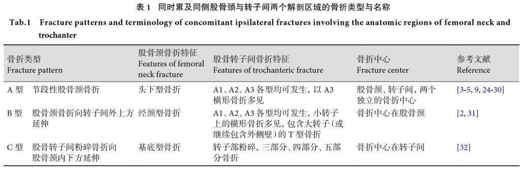 同时累及同侧股骨颈与转子间两个解剖区域的骨折类型与研究进展