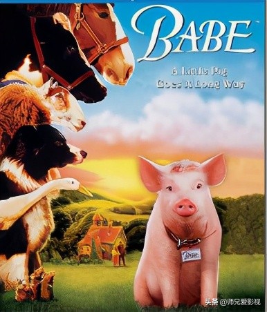 您知道与猪有关的电影有多少吗？