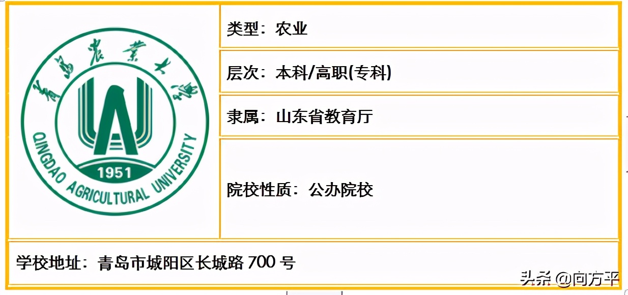 山东省内原来有48所高校招生美术类考生，总有一所大学适合你