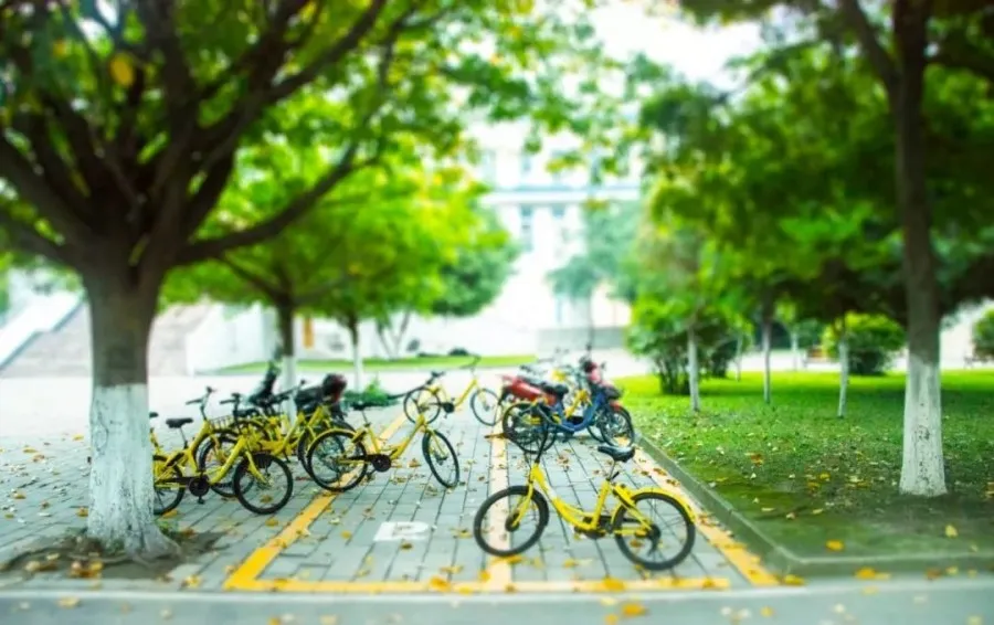 中国“双高计划”建设单位，四川交通职业技术学院2020单招计划