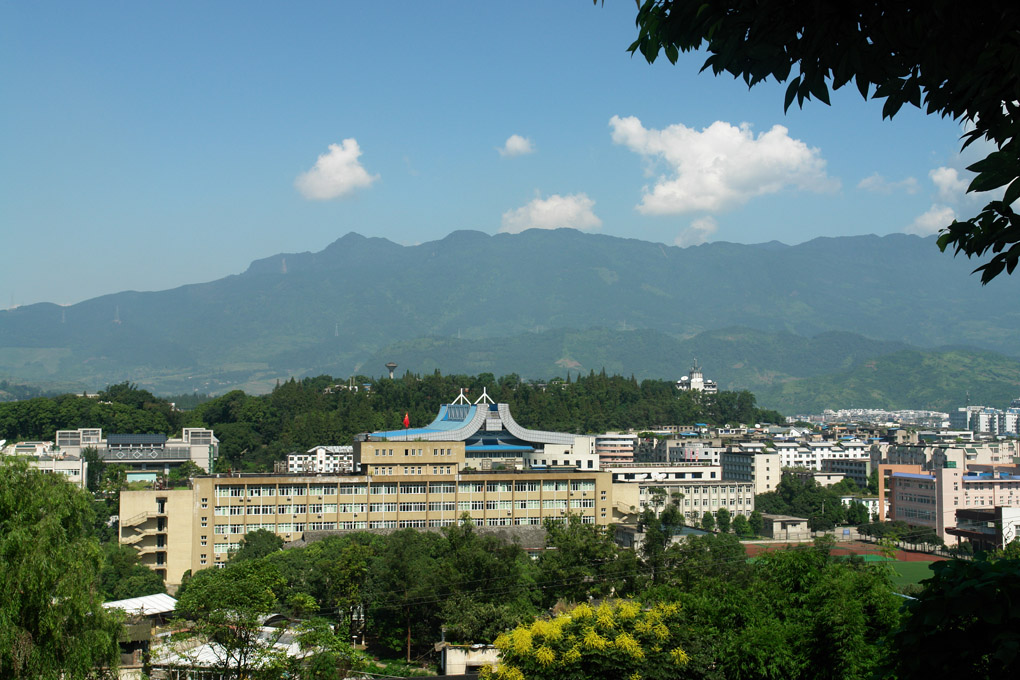 “双一流”四川农业大学艺考政策解读，美术生多少分可以录取？