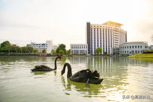 云南高考十大超强二本院校，让你享受一本待遇，中等生重点关注