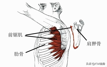 那是不良體態,4個動作幫你改善