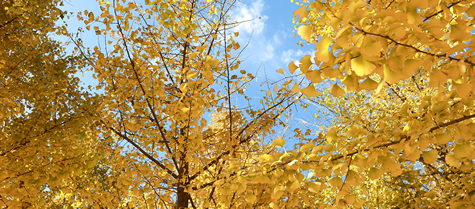 我的大学---------河北政法职业学院