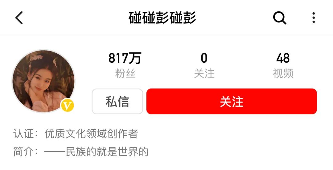 95后中国姑娘蒙着面纱，凭一台古筝惊艳法国街头