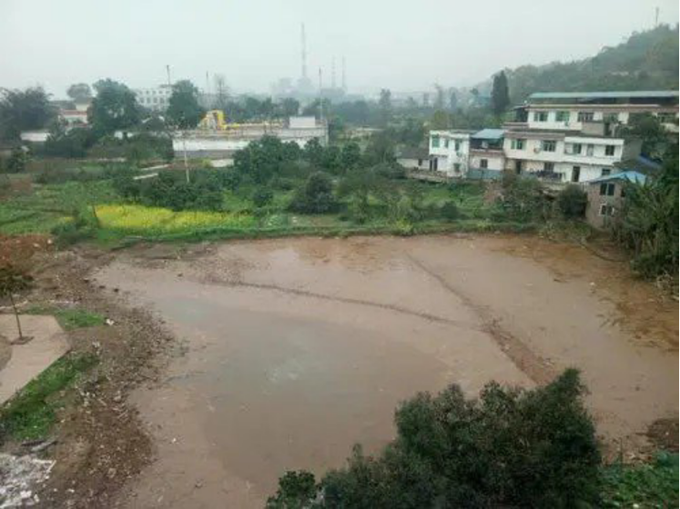 曹晓洁：高考仅385分无奈读大专，却被三家跨国公司争抢，为何？