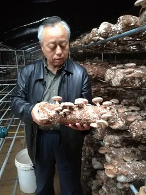 2020高考作文押题（内附最新素材）