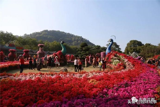 盘点福建10大最适合中老年人旅游的地方，趁端午小长假带长辈走走