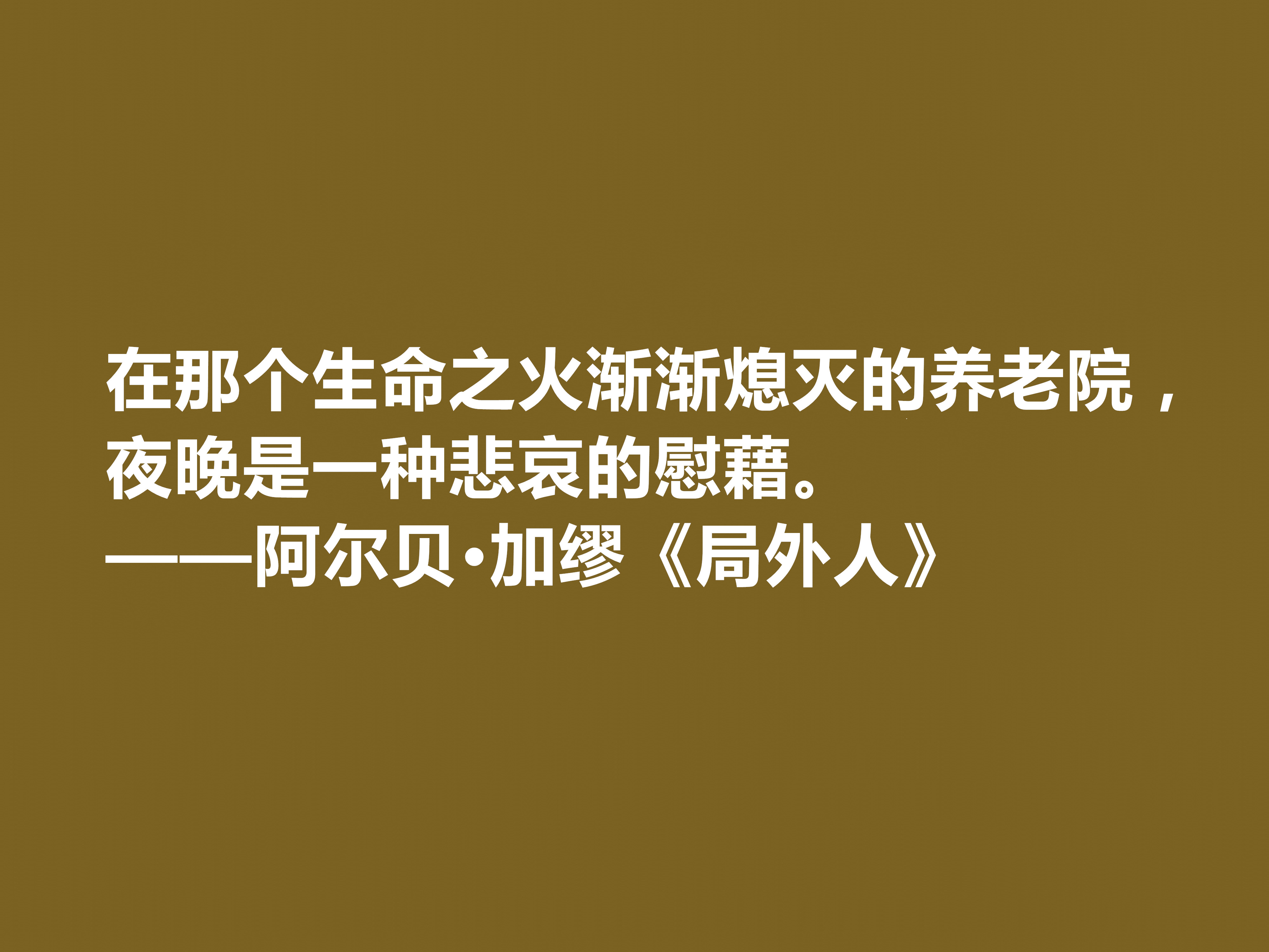 加缪最伟大的作品，《局外人》中十句格言，暗含深厚的人生哲学观