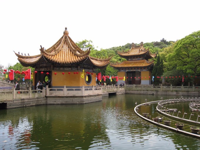 当年齐天大圣经常去的南海紫竹林,观音故乡,佛国普陀山