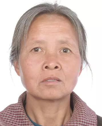 失信人查询名单,
