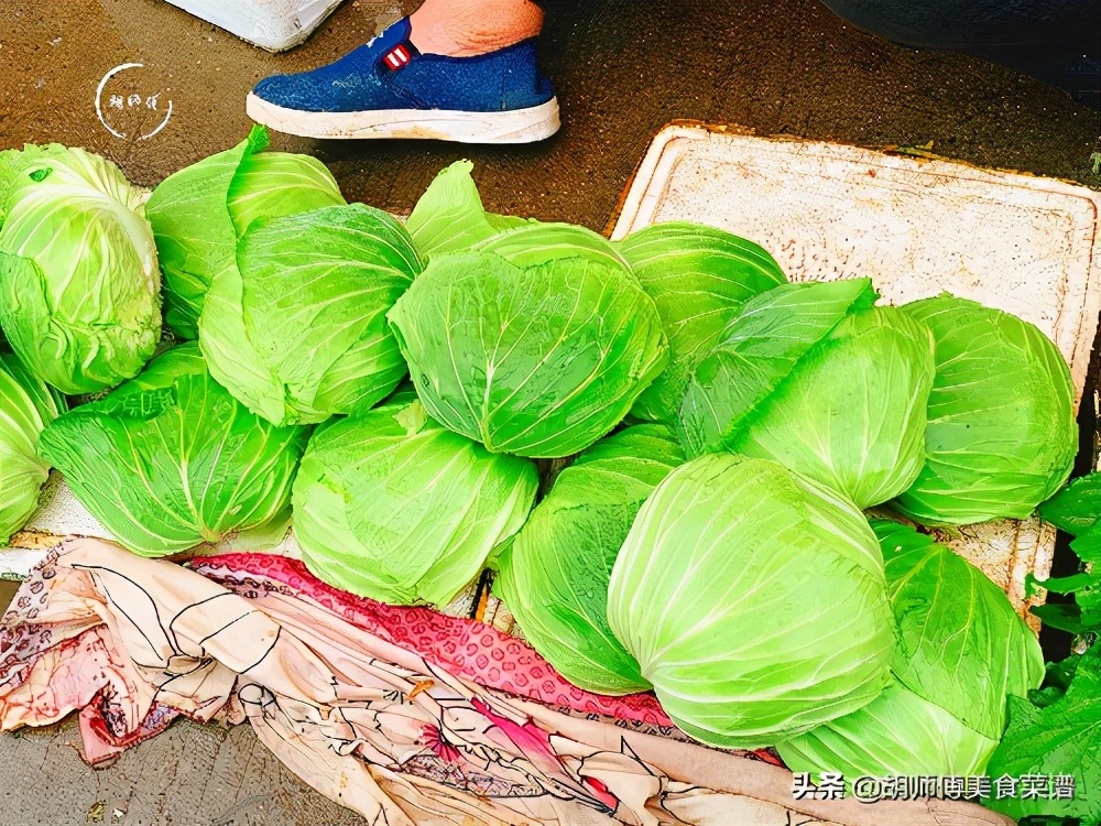 甘蓝和包菜的区别（绿甘蓝和包菜的区别）-第1张图片-巴山号