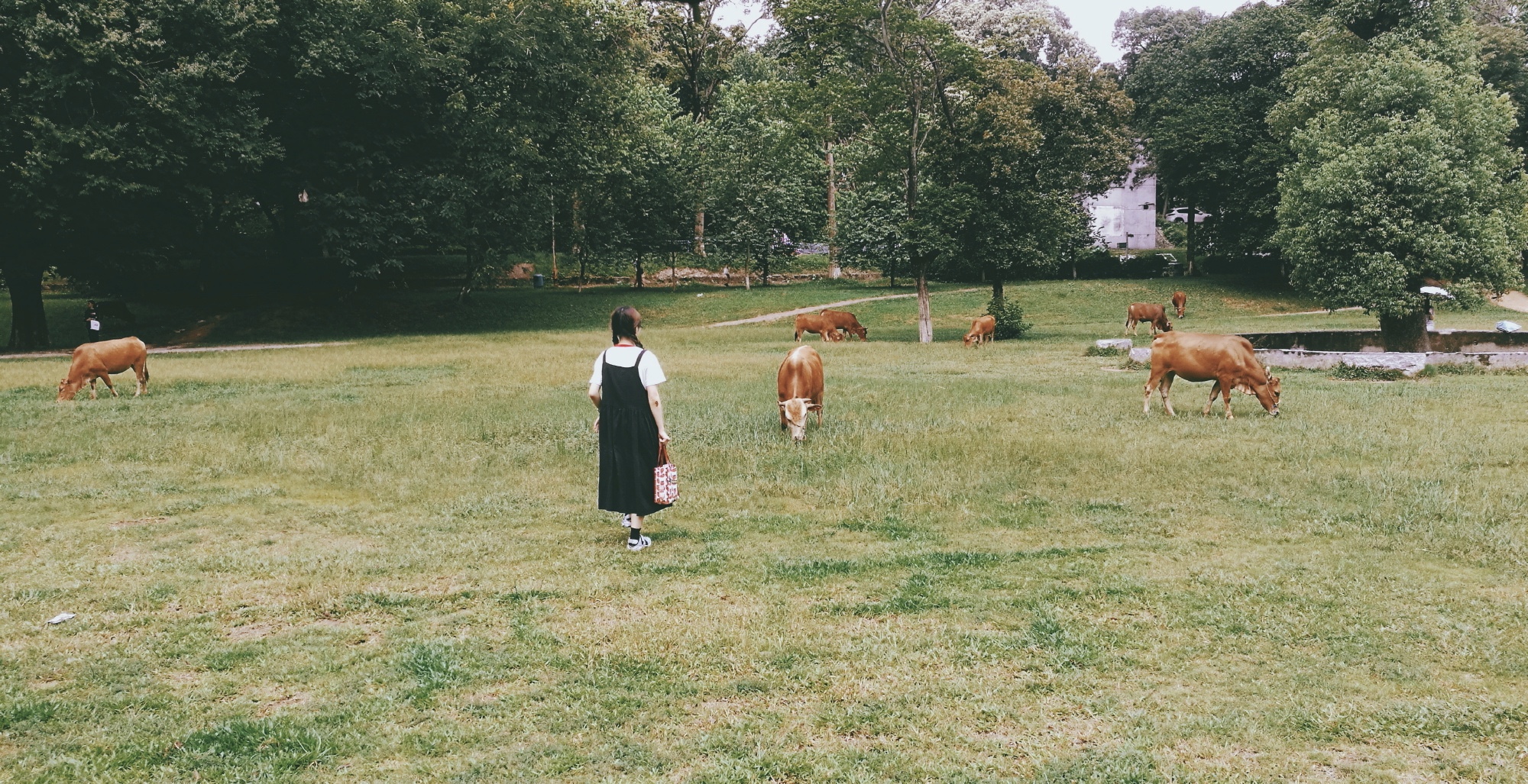 农业大学学生日常学习走红，图书馆前晒谷子，别人上课他们下田