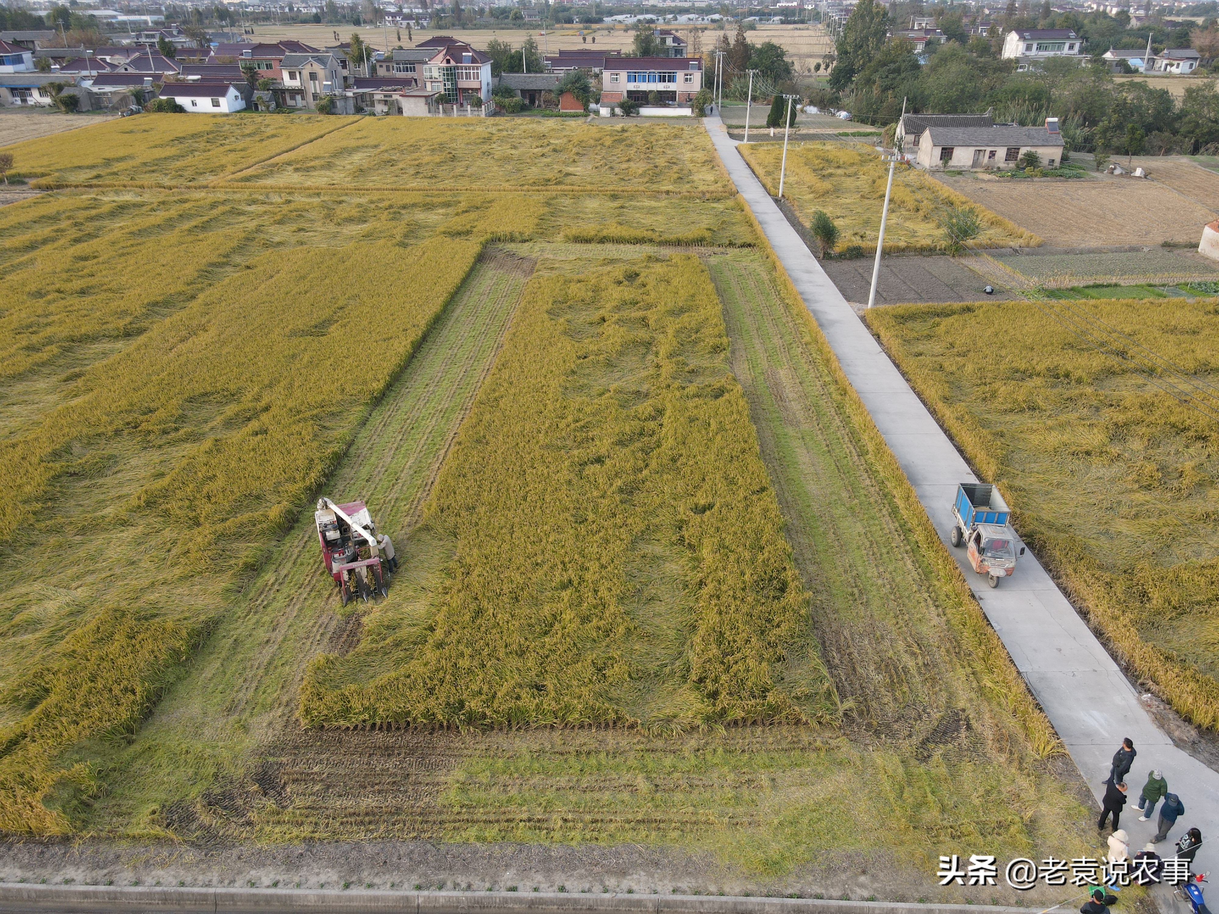 江苏省泰州市姜堰区：水稻收得快、小麦种得好