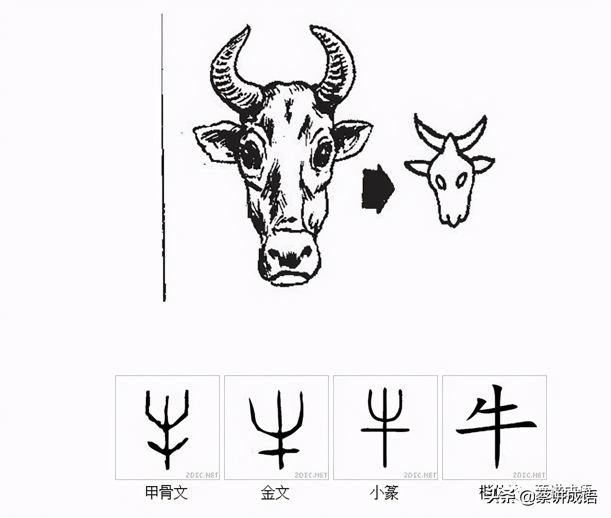 「汉字99解字」牛与鱼