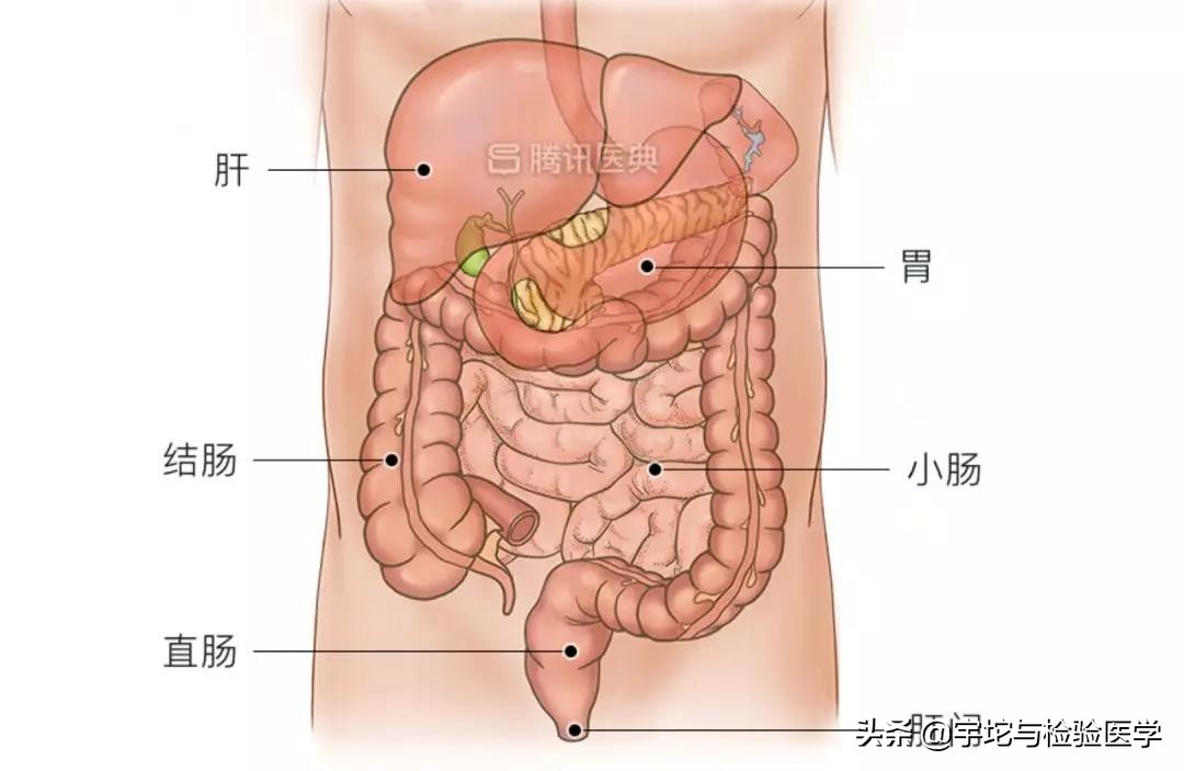 这项检查才10几块钱，能发现80%直肠癌，为什么很多人放弃？