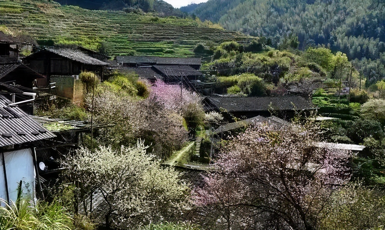 福建内5条小众又独特的自驾路线，风景各异，每一条都值得一驾