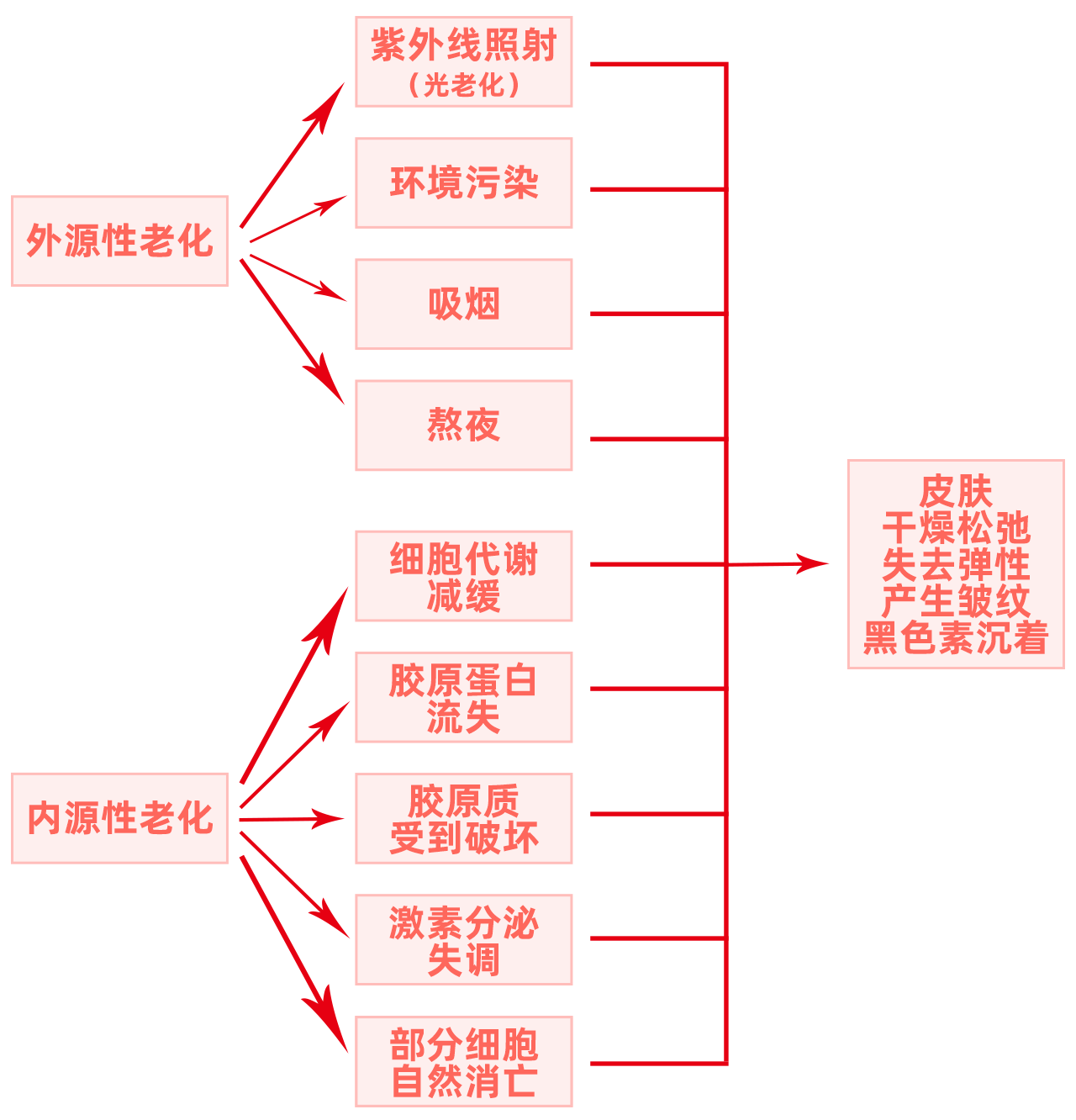 38岁抗老护肤必备：十大品牌排行榜及核心成分解析
