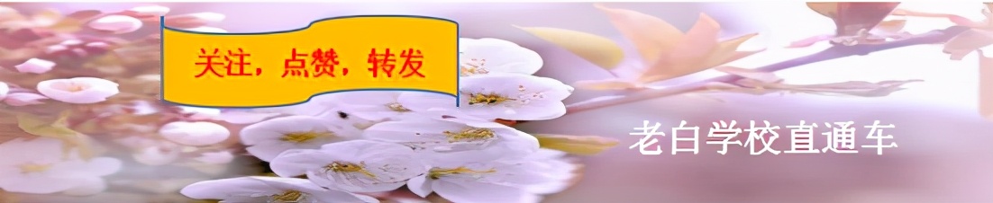 河南985大学（河南或将）