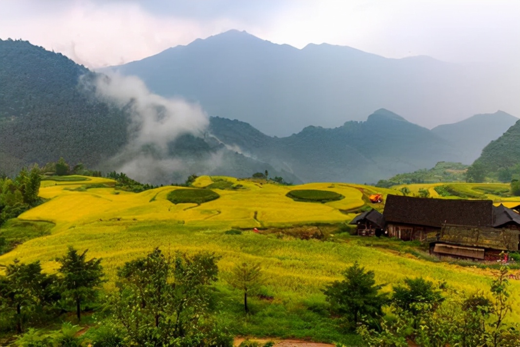 1955年，上海一女特务被捕，真实身份曝光引轰动：她是个男人