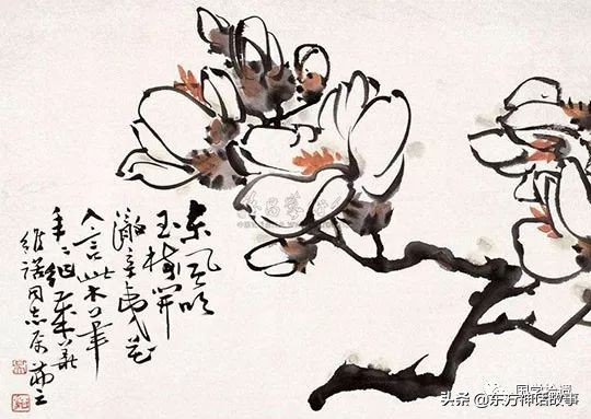 十首玉兰花的诗词——每一首都尽显其孤傲，优雅之气