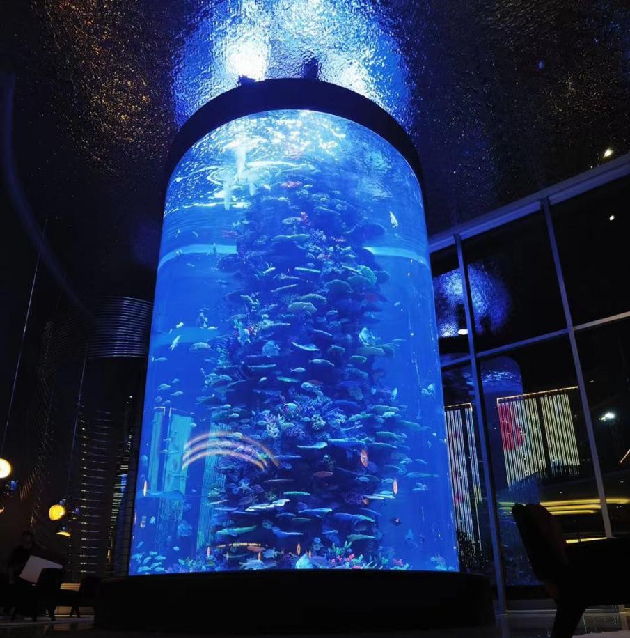 售楼处品味up，蓝湖水族鱼缸引人瞩目