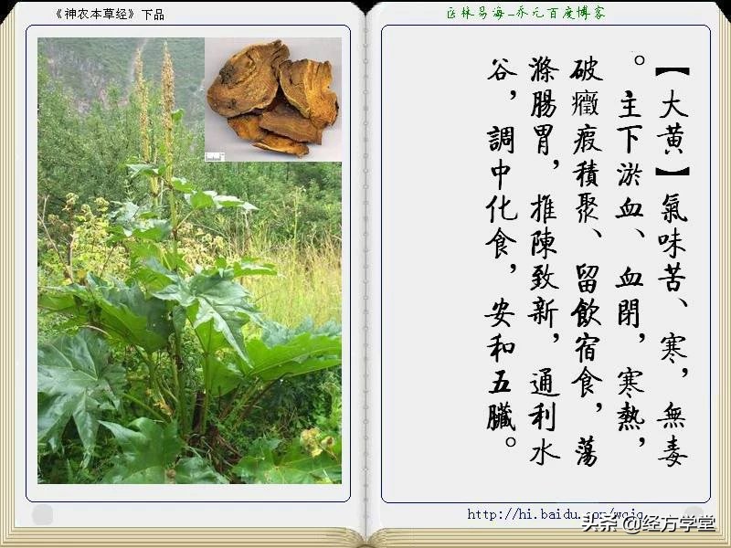 《神农本草经》全册图文解析 建议收藏