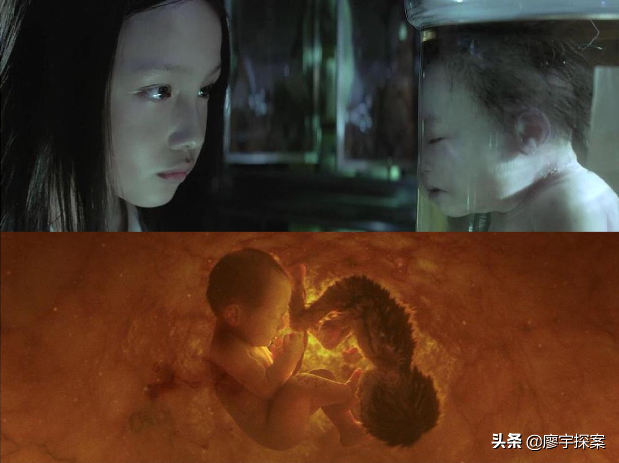 ڭ(he)ôڭôʲ(shi)ô˼-Ѷ