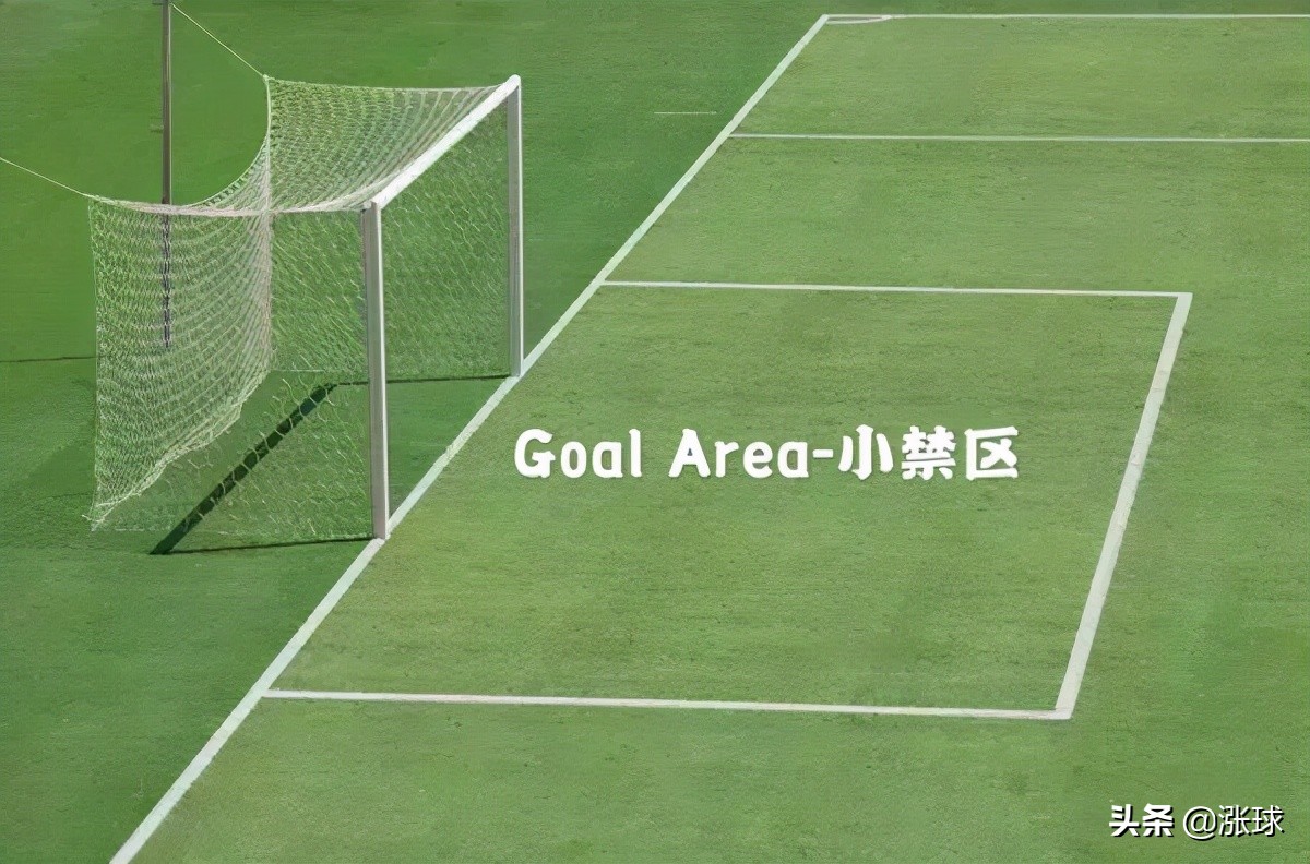 划分球场的区域这里需要说明一下