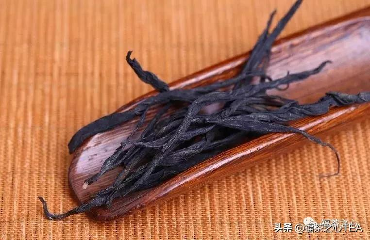 福建之茶 | 大红袍的鼎鼎大名是这样来的