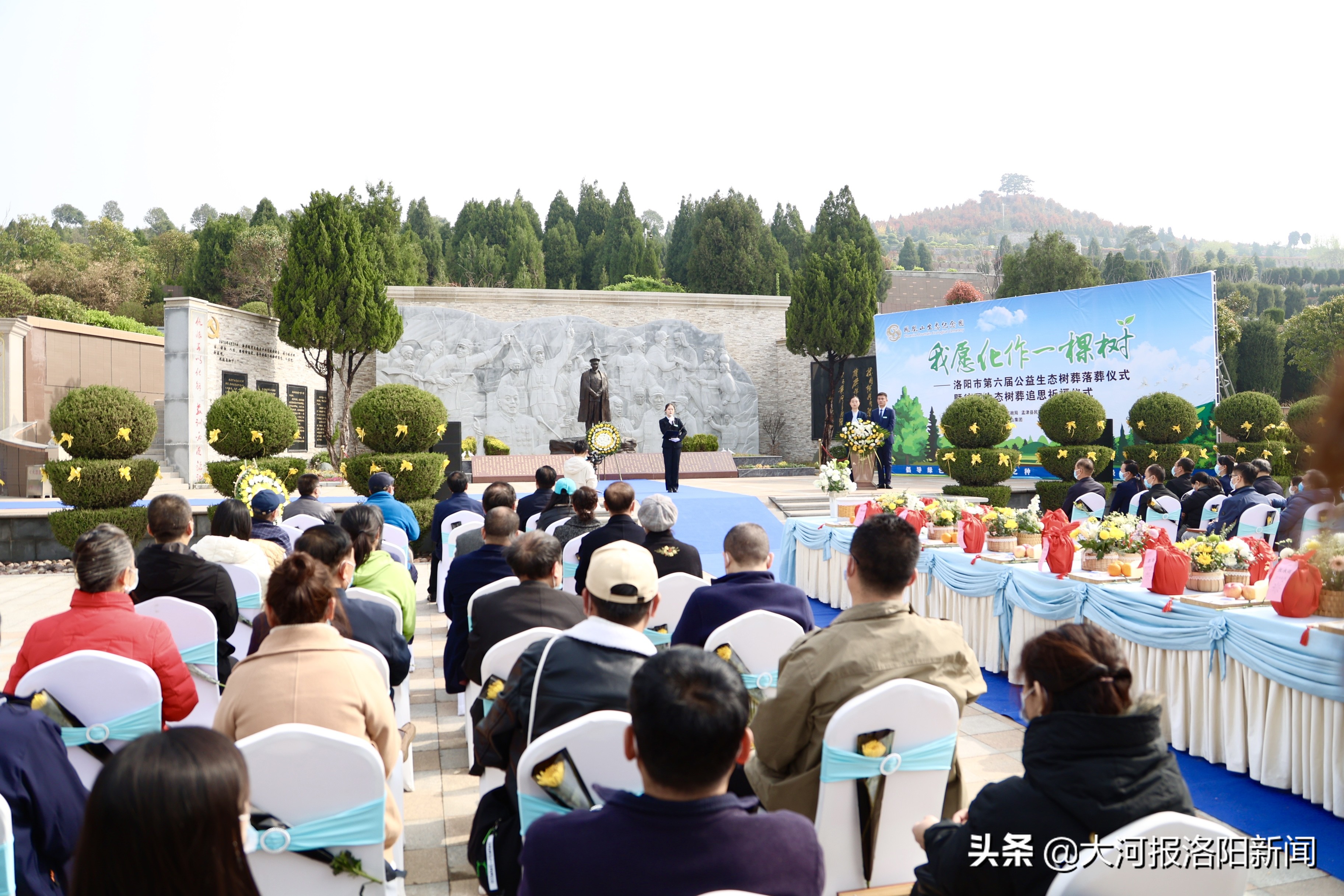 不立碑、不烧纸！洛阳16位逝者集体树葬，生态安葬正在被更多人接受