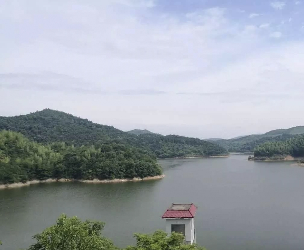 承包鱼塘（200亩鱼塘）