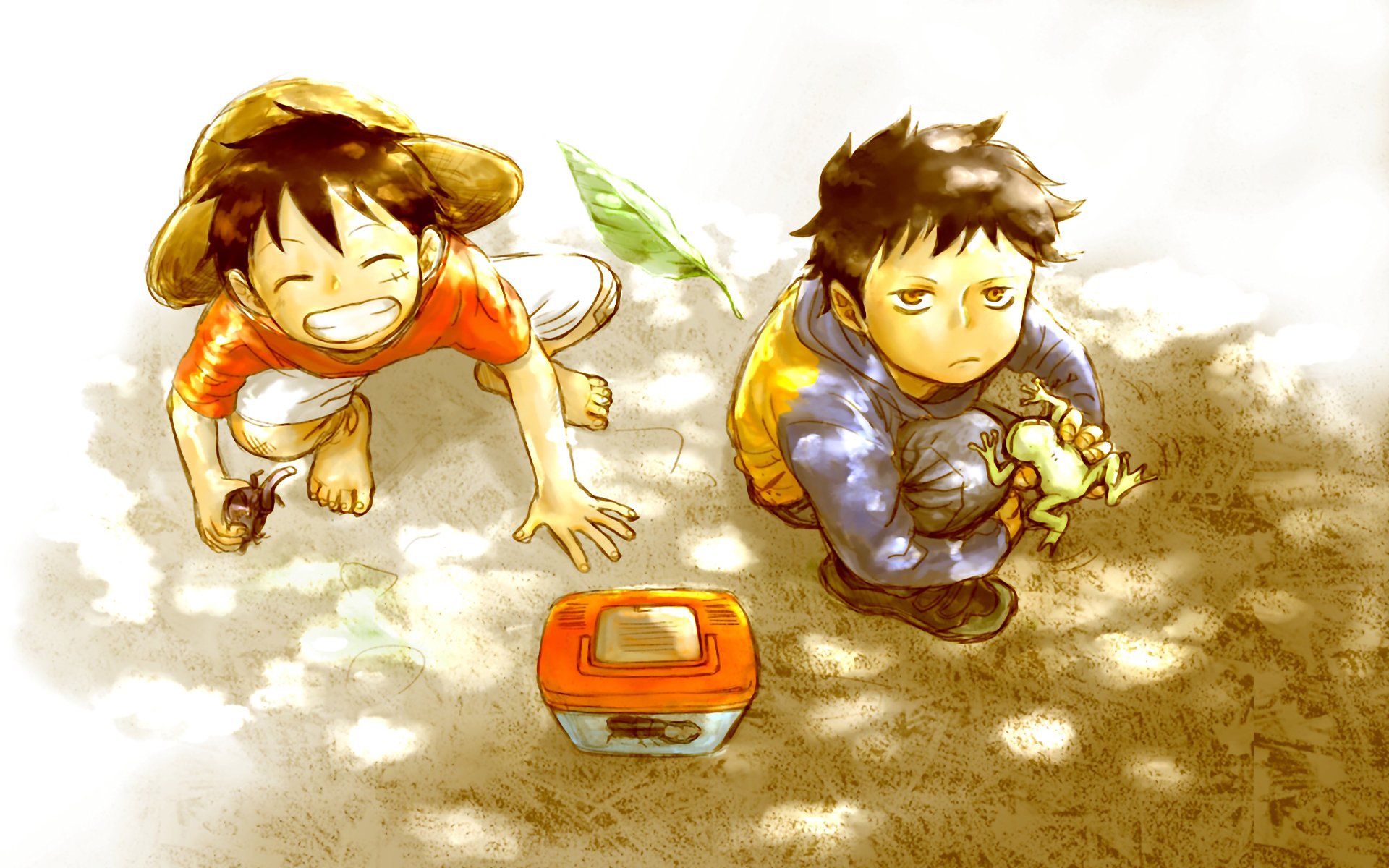 航海王的壁纸海贼王壁纸横屏