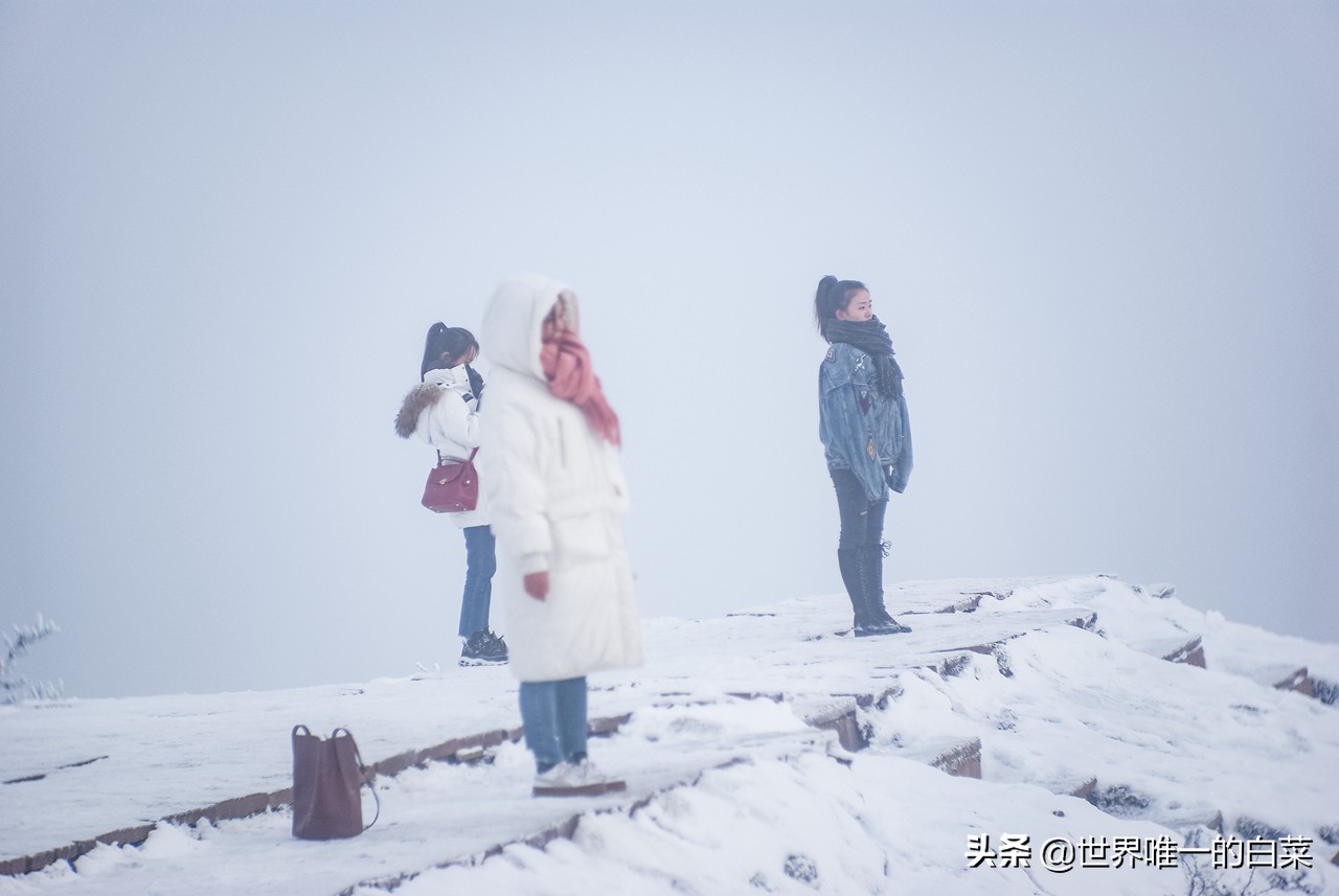 牛背山封了，四人同太苦，还好有亚洲第二360°观景平台满足一切