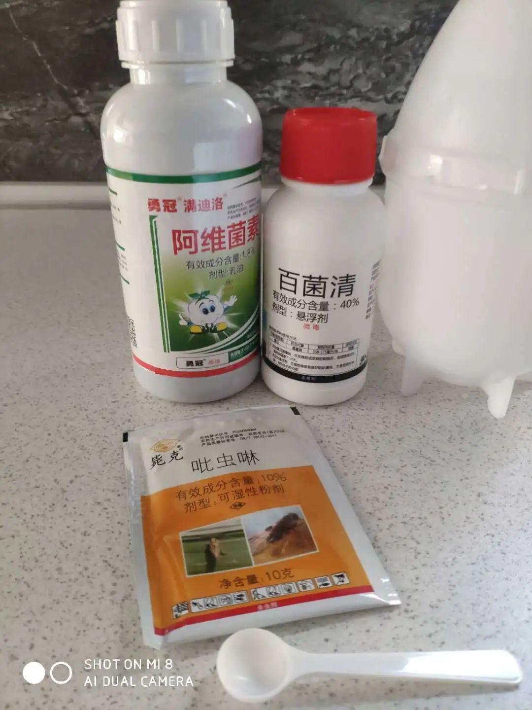 潮虫是怎么长出来的（灭潮虫最有效的方法）-第7张图片-昕阳网