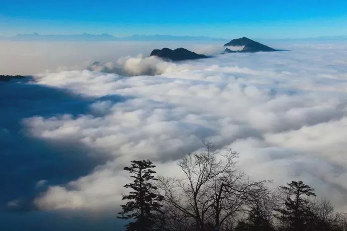 成都边边上这个小地方，居然是个“人间天堂”