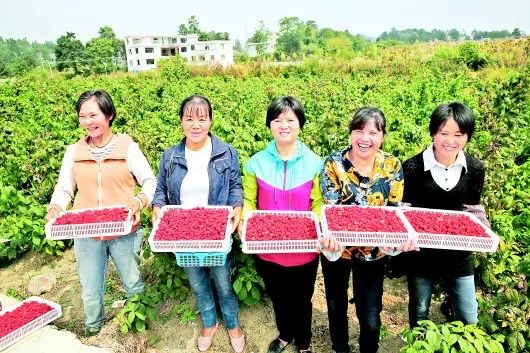 乌当区与贵州科学院开展院区合作共谋发展