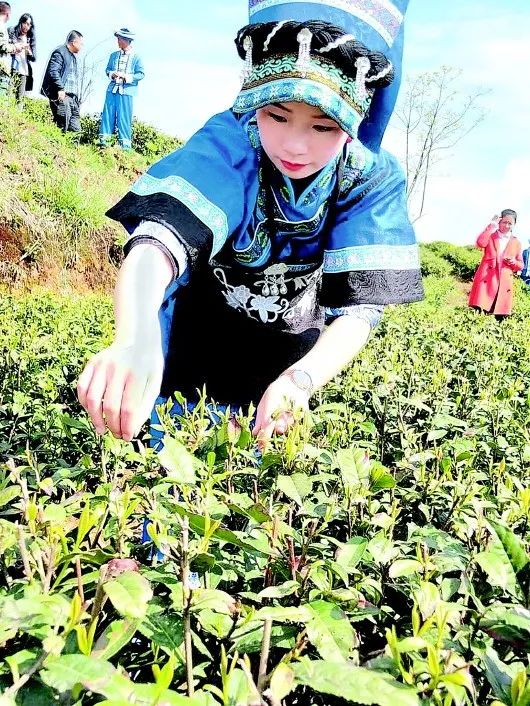 乌当区与贵州科学院开展院区合作共谋发展