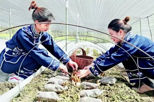 乌当区与贵州科学院开展院区合作共谋发展