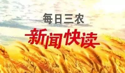 今日四川毛猪价会理「今日四川猪价毛猪价」