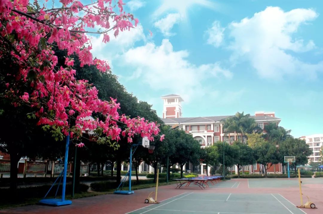 陈村特色学校建设⑥碧桂花城学校"本道教育":立足教育本源,探寻教育真