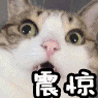 网上邀人打麻将，一女子被判7个月，罚款3000元！这种麻将不要打…