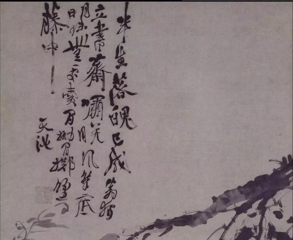 徐渭葡萄国画简述明代画家徐渭墨葡萄图的艺术特点