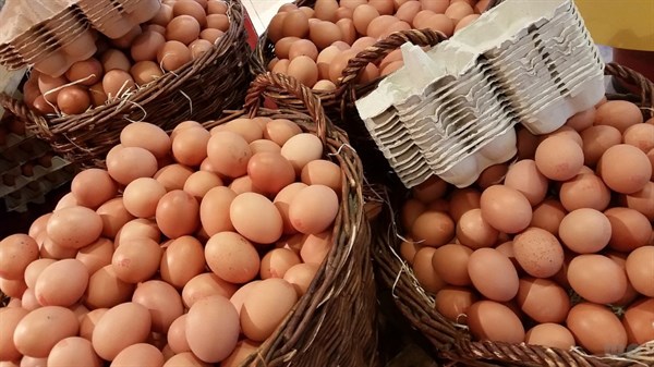鸡鸭鹅蛋哪个营养价值(zhi)高（鹅蛋怎么吃营养价值更高(gao)）-悠嘻资讯网