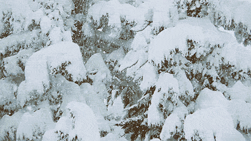雪地靴怎么洗（雪地靴穿了就脏，脏了就扔？跟美女学两招，竟省下这么多钱！）-趣拿体育